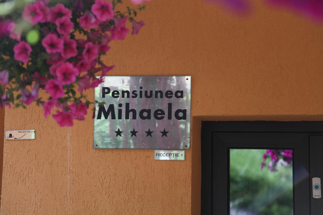 Pensiunea Mihaela Пояна Брашов Екстериор снимка